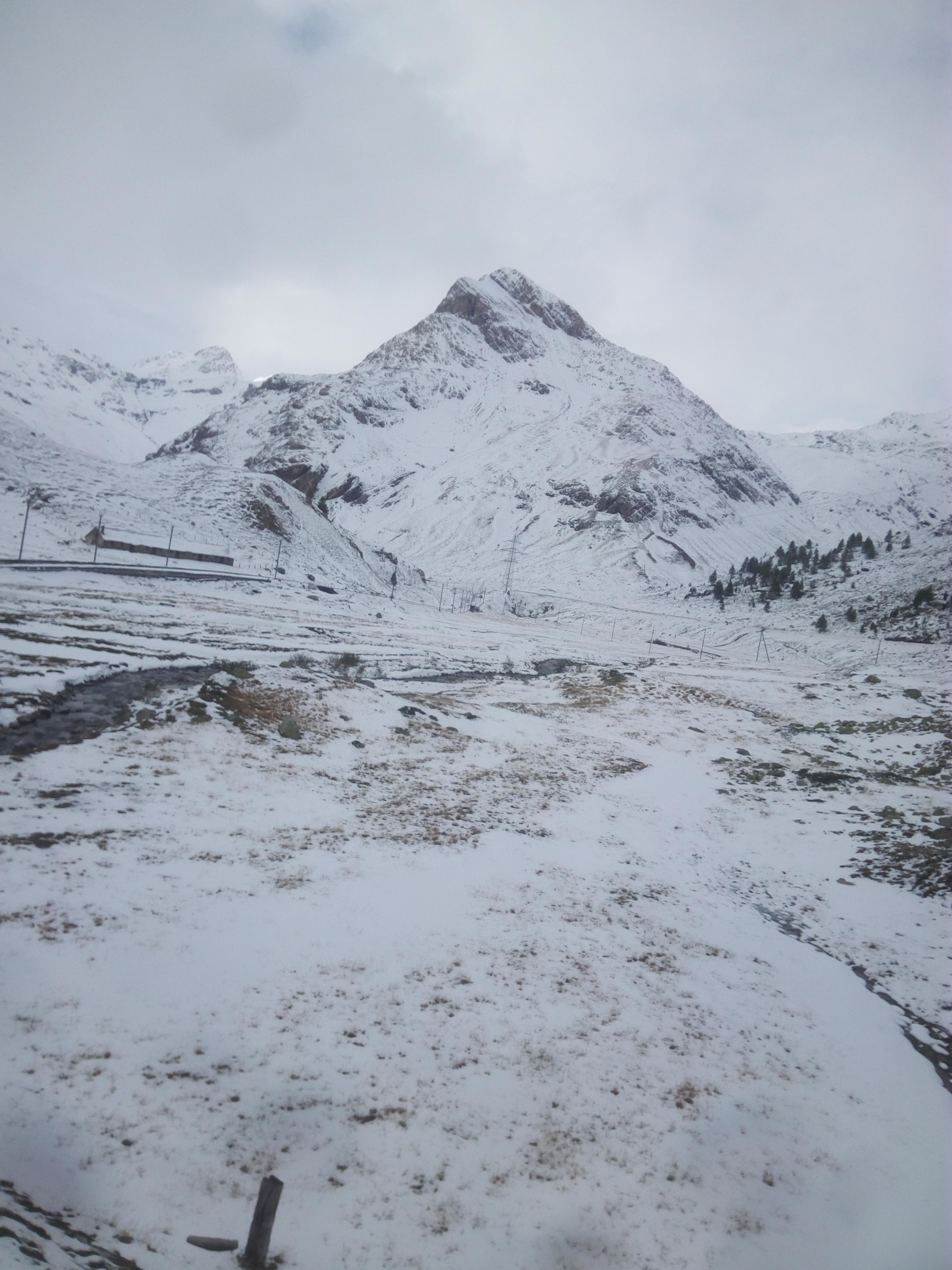 Bernina-Gebiet